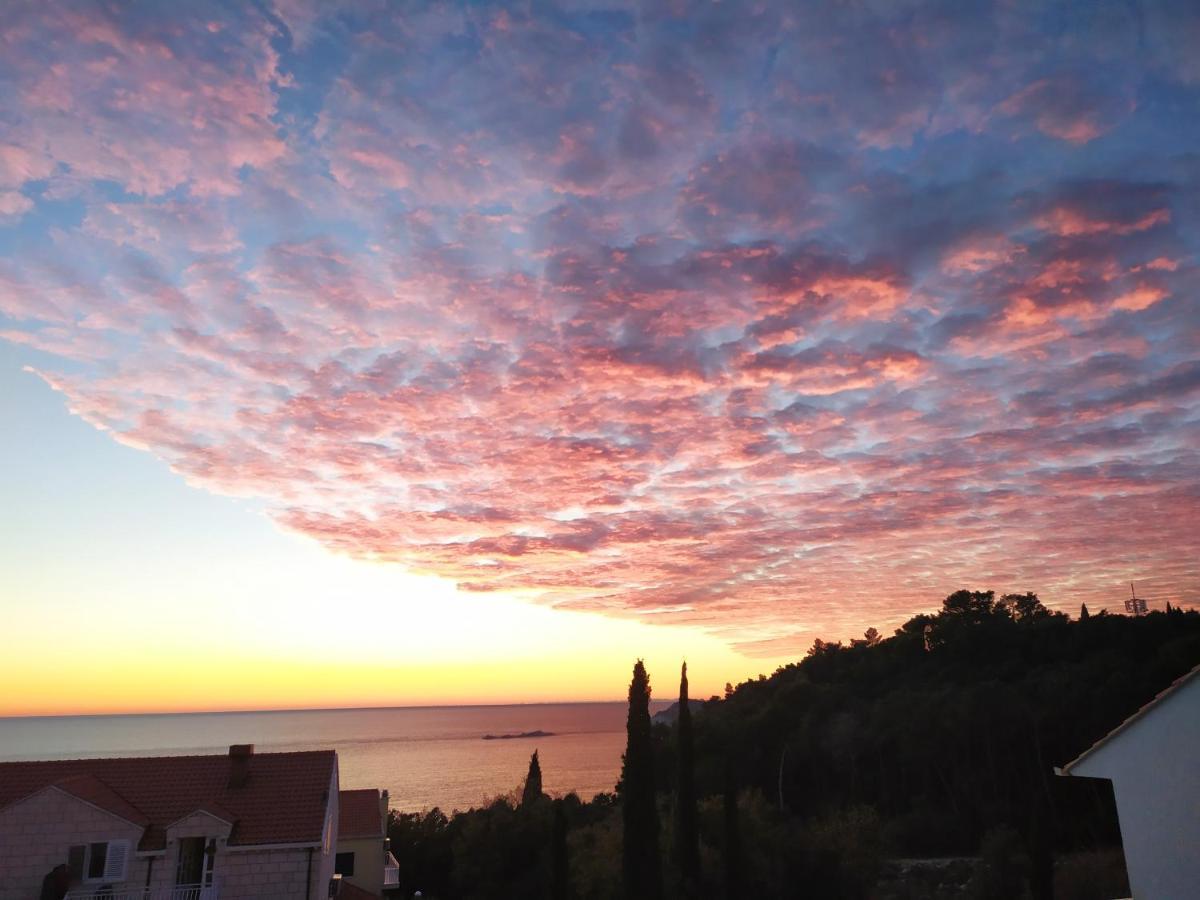 Honey Bee Cavtat Exterior foto